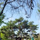 문우초교 이미지