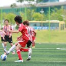 충주중앙초등학교 이미지