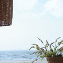 파크푸르지오(버스정류장 옆 횡단보도) | 허니비치] 오션뷰 카페 추천 :: 내돈내산 솔직 후기^^ (안산 시내버스 123번 타고 왕복한 자세한 후기)