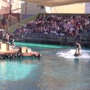 월드 연무관 합기도 이미지