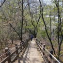 동작충효길 2코스 현충원길 이미지