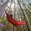 문화해설 여행쉼터2 이미지