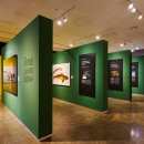 아크릴화 이미지