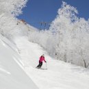 프로메드 이미지