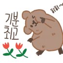 미림플라워 이미지