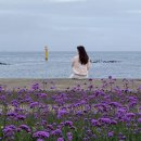 씽씽PC랜드 | [4박5일 제주] 조울증에 걸린 하늘을 더 맴매 : day1