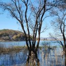 신정행정사 사무소 이미지