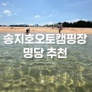 (주)성진오토파크 | 지금 아니면 내년에! 강원도 고성 송지호 오토캠핑장, 명당자리 예약 꿀팁과 리얼 후기