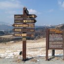 하백목장 이미지