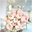 (11/15)플라워박스 꽃꽂이 이미지