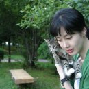정혜