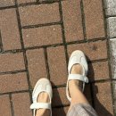 7339 | 무신사 무진장 세일 득템 아디다스 삼바 제인 JR7339 클라우드화이트/할로블루 내돈내산 후기 사이즈팁