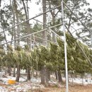 주헌농장 이미지