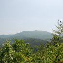 국사봉농장 이미지