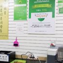 새마을담뱃잎 이미지