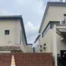 증산초교 이미지