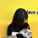 (유)엠에스 이미지