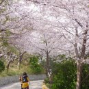 우룡산공원 이미지