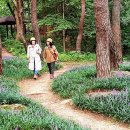 몽마르뜨 언덕 이미지