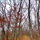 금마제일주유소 이미지