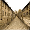 힐링부동산 공인중개사사무소 이미지