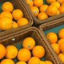 영신로9라길 이미지