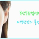 미색단장 이미지