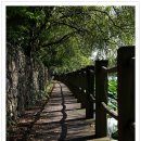 애월초등학교 이미지