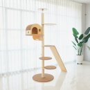 오로라 캣 이미지