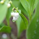 촉촉이네 이미지