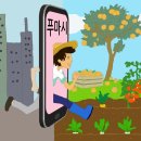 푸마시 네이버블로그
