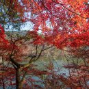 세천 공중화장실 이미지