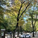 다인야영장 이미지