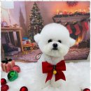 그루밍샵 이미지