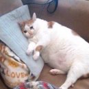 화남세탁소 이미지