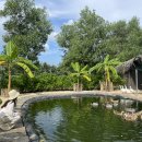 아남농장2 이미지