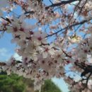 석포보건지소 이미지