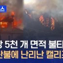 “4200만 제곱미터 불 타고 만명 대피”…캘리포니아 휩쓴 대형산불 이미지