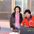 고흥봉황정 Daum카페