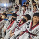 용인대 백호 태권도장 이미지