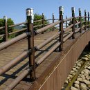 의림지-06 이미지