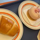 오델리스 이미지