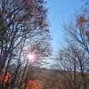 안일사앞 | 251206 안일사-앞산전망대-앞산정상 후기