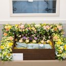 아름다운 애견 이미지