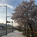 태풍해삼집 이미지