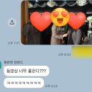 (유)쎈스 | 유멘터리 스튜디오 본식DVD+스냅 솔직후기