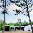 샛별글램핑 이미지