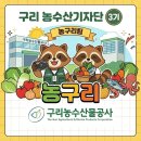동구릉로136번길 네이버블로그