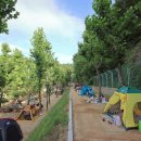 봉무공원야영장 이미지