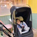 G5-1 | 오르빗 G5 유모차 1년 솔직 사용 후기 (아둘맘의 현실 리뷰🤍)